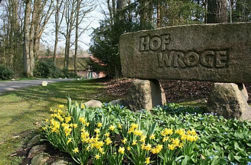 Ferienhof Wroge Витцендорф Екстериор снимка